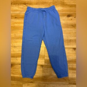 Aerie Blue Sweat Pants